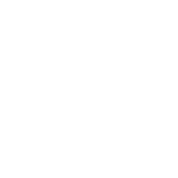 Einhorn